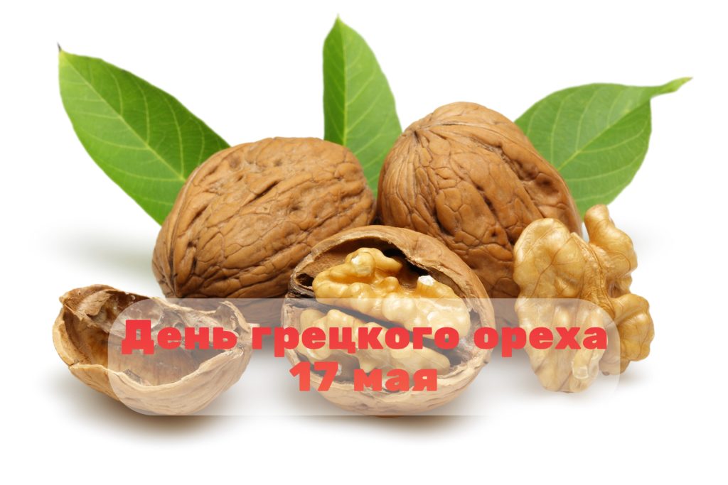 День грецкого ореха