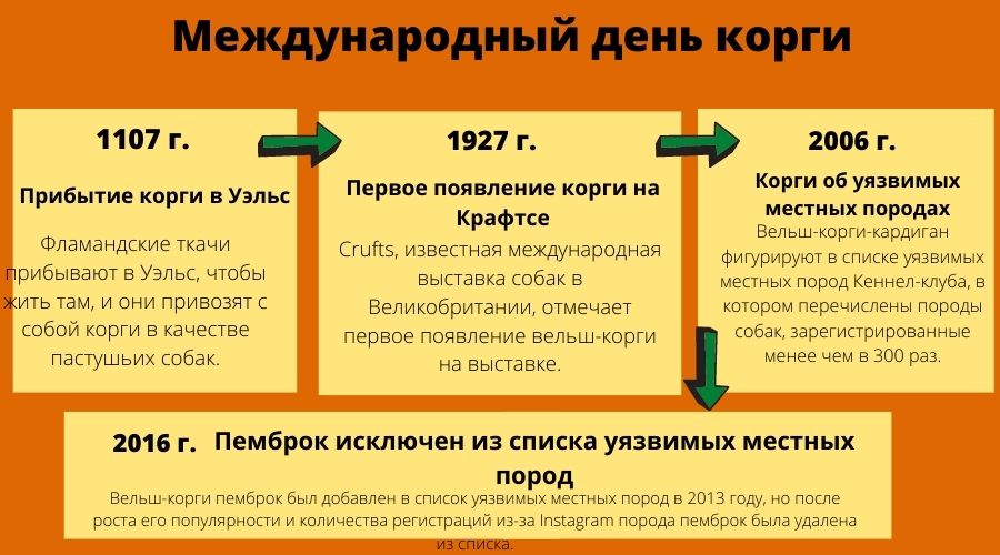 Вельш-корги пемброк был добавлен в список уязвимых местных пород в 2013 году, но после роста его популярности и количества регистраций из-за Instagram порода пемброк была удалена из списка.