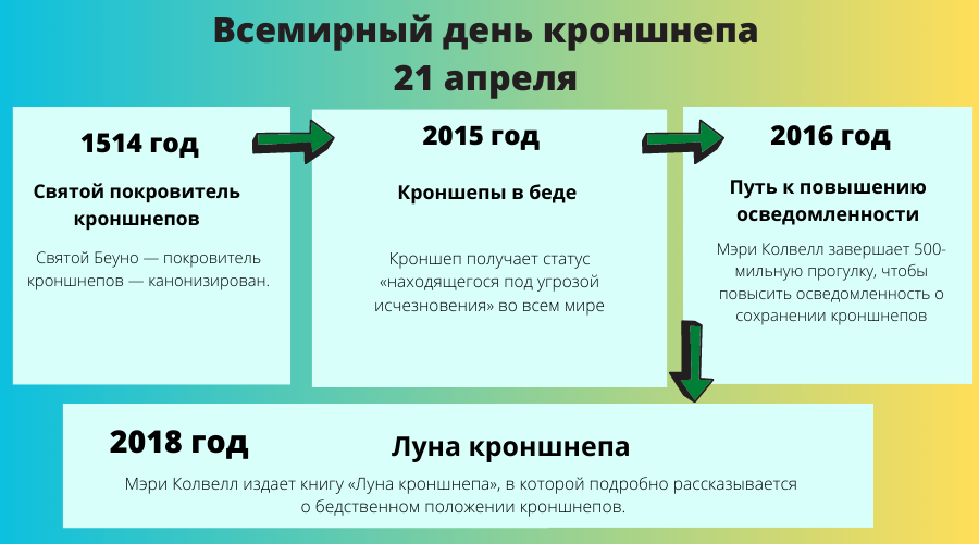 ДАТЫ ВСЕМИРНОГО ДНЯ КРОНШНЕПА