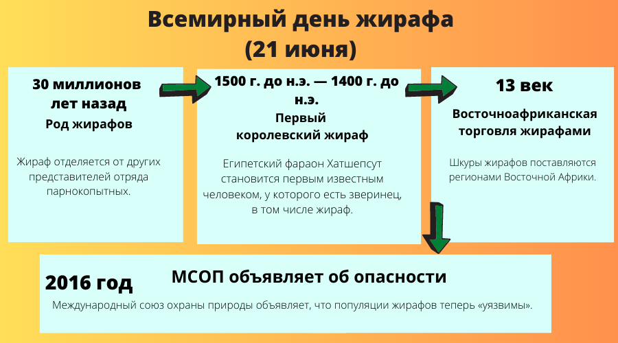 Почему важен Всемирный день жирафа