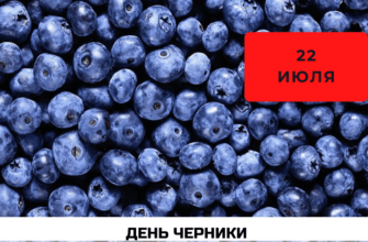 День черники 22 июля: история праздника, как отмечать